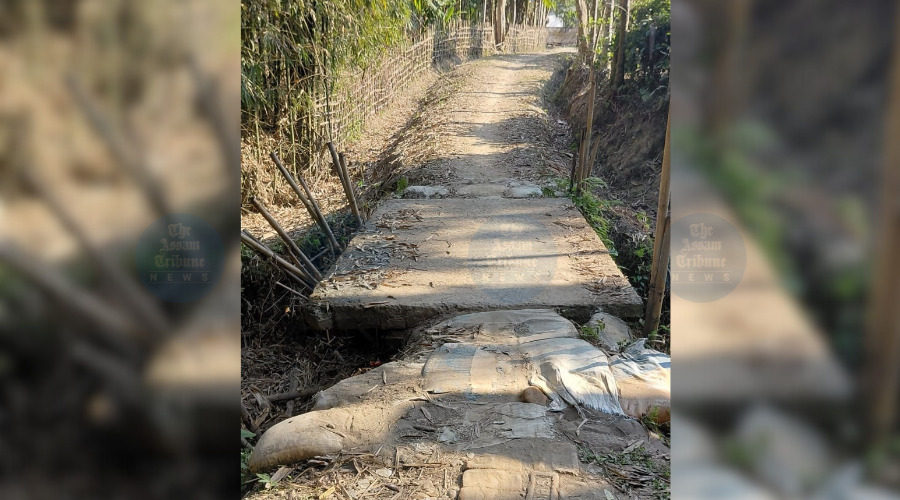 Floods Cut Roads, Isolate Ledo Maulang Khamti Village in Tinsukia