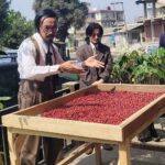 Nagaland Coffee Revolution: How Naga Beans Are Redefining Premium