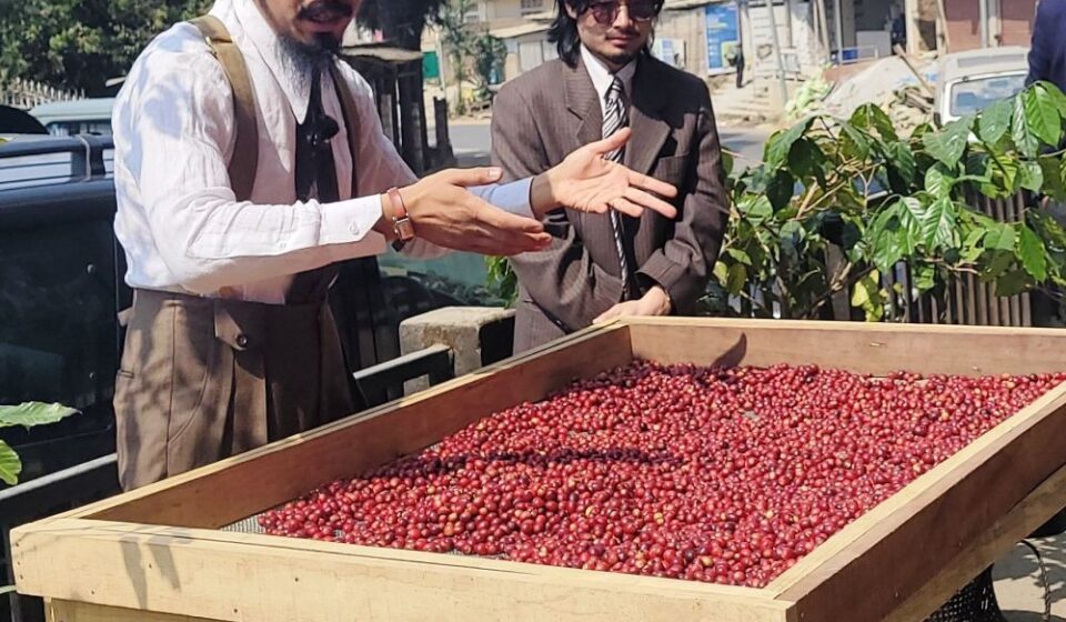 Nagaland Coffee Revolution: How Naga Beans Are Redefining Premium