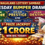 LIVE: Nagaland Lottery Sambad Dear SHINE 1PM Draw Feb 10 — 1 Crore