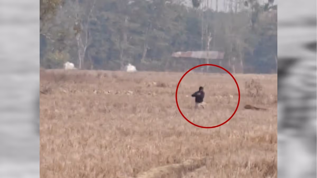 Tiger Attacks Two in Golaghat's Upper Langtha Village — Urgent Alert