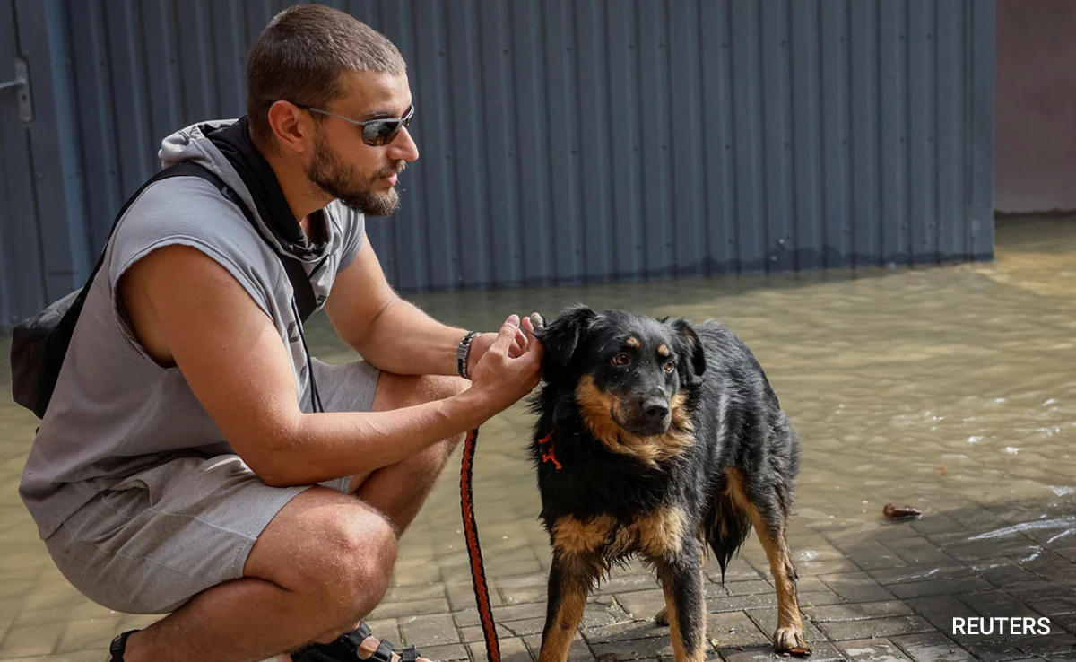 Compassionate Brazilian Law Lets Pets Be Buried With Owners