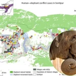 Alarming Rise in Sonitpur Elephant Deaths Despite Conflict Management