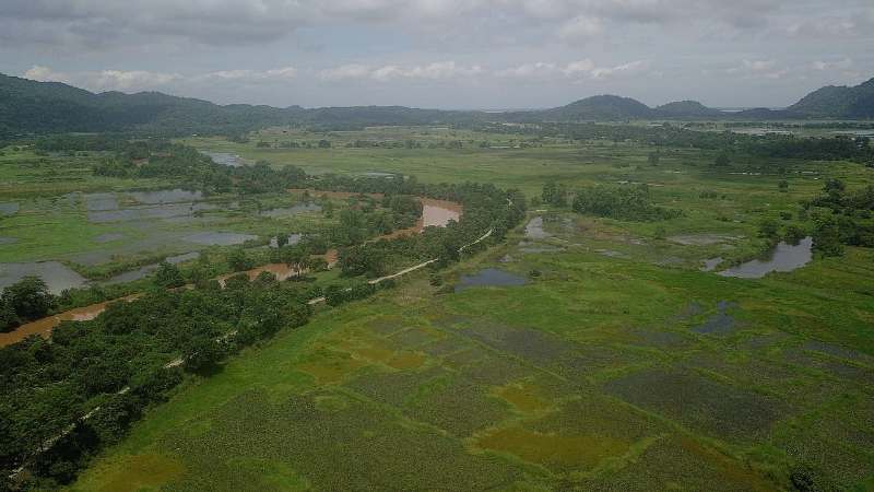 Guwahati Ring Road Threatens Wetlands — Urgent Ecological Call