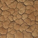Early 2026: Severe Rainfall Deficit Threatens All Districts