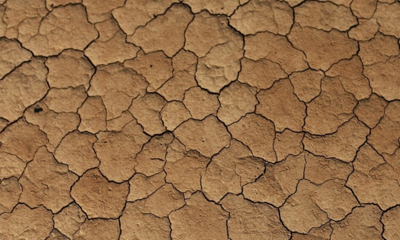 Early 2026: Severe Rainfall Deficit Threatens All Districts