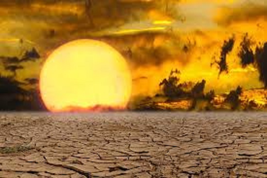 Nagaland Farmers Urge Action as Climate Change Devastates Crops
