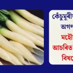 কেঁচুমূৰীয়াৰ যম: অগণন ৰোগৰ মহৌষধ মূলাৰ আচৰ্য্য উপকাৰিতা জানক