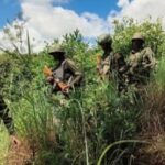 Breaking: Intense Gunfight on India–Myanmar Border in Arunachal