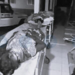 Fatal Ambulance Crash on NH-15 in Sonitpur: Six Dead, Two Injured