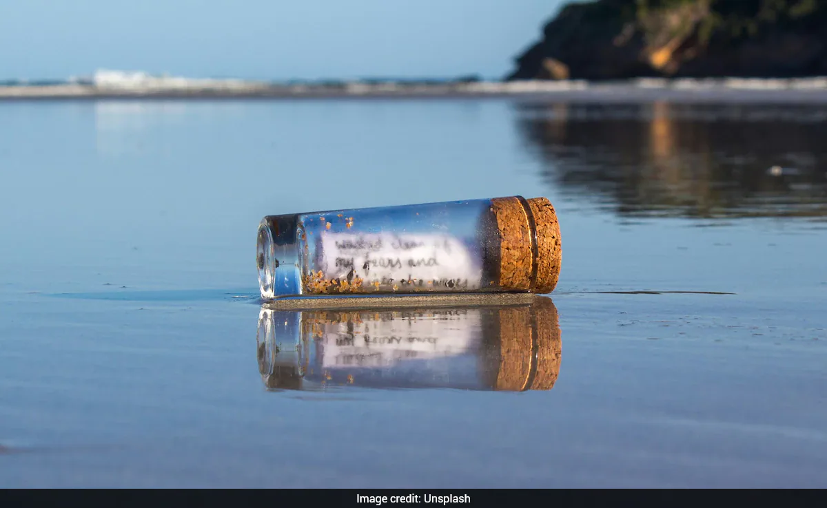 From Bahamas to Portugal: Message in a Bottle Sparks Atlantic Bond