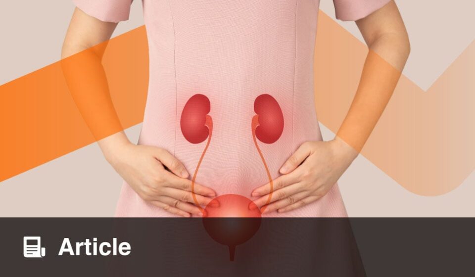 Astonishing Natural History of a Giant Bladder Stone: Key Insights