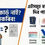 ভোটাৰ কাৰ্ড নোহুৱাকৈ ভোটদান: বৈধ বিকল্প আৰু সহজ পদক্ষেপ