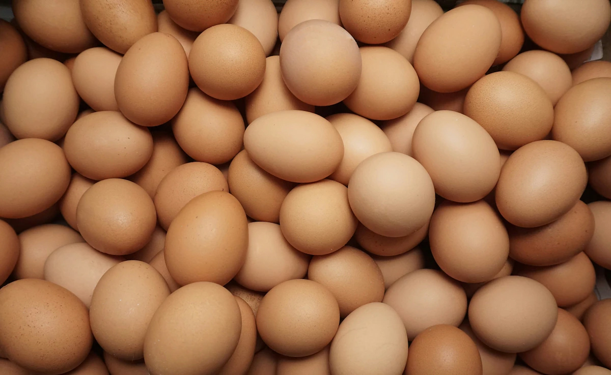 Uttar Pradesh Mandates Expiry Date Stamping on Eggs — Effective April 1