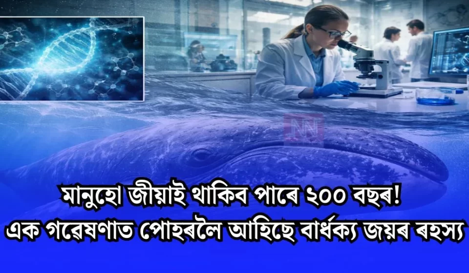 মানুহ ২০০ বছৰ জীৱন পাব পাৰে — গৱেষণাই উন্মোচিল বয়সজয়ৰ ৰহস্য