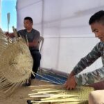 Bamboo Power: Driving Jobs, Business & Innovation in Nagaland