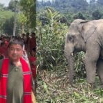 Assam’s Elephant Keepers: Rising Costs, Habitat Loss & Low Pay