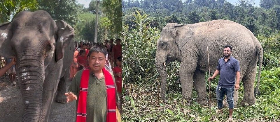 Assam’s Elephant Keepers: Rising Costs, Habitat Loss & Low Pay