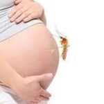 Urgent: Doctors Warn of Severe Malaria Risks in Pregnancy