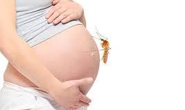 Urgent: Doctors Warn of Severe Malaria Risks in Pregnancy
