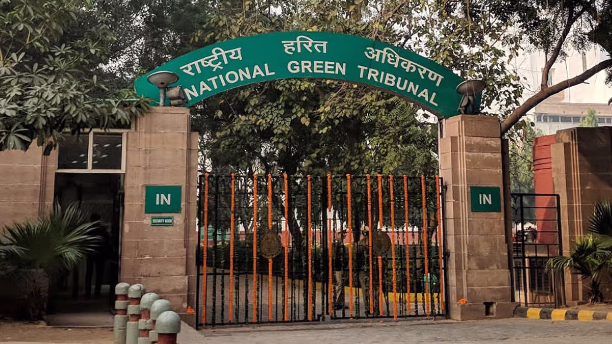 NGT Halts Assam's 1,600 Forest Personnel Move — Biodiversity Warning