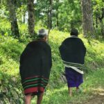 Elderline Nagaland: Over 300 Urgent Calls in 2025 — What’s Next?