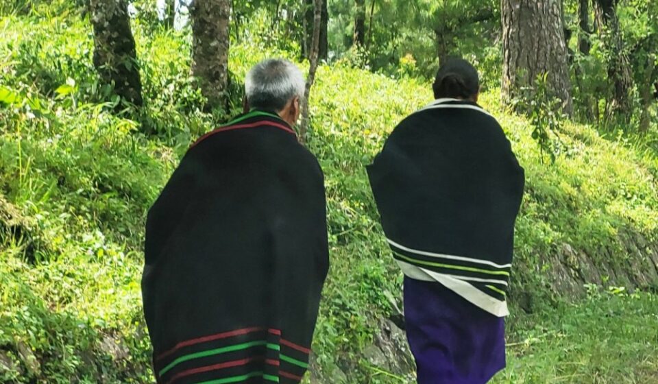 Elderline Nagaland: Over 300 Urgent Calls in 2025 — What’s Next?