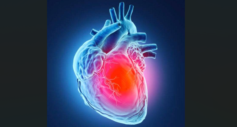 AMCH Report: Heart Disease Drives Over Half of Sudden Deaths in Assam