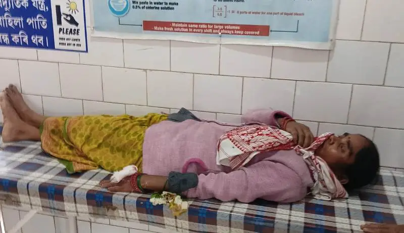 Woman Tea Worker Injured in Leopard Attack at Tinsukia — Shocking