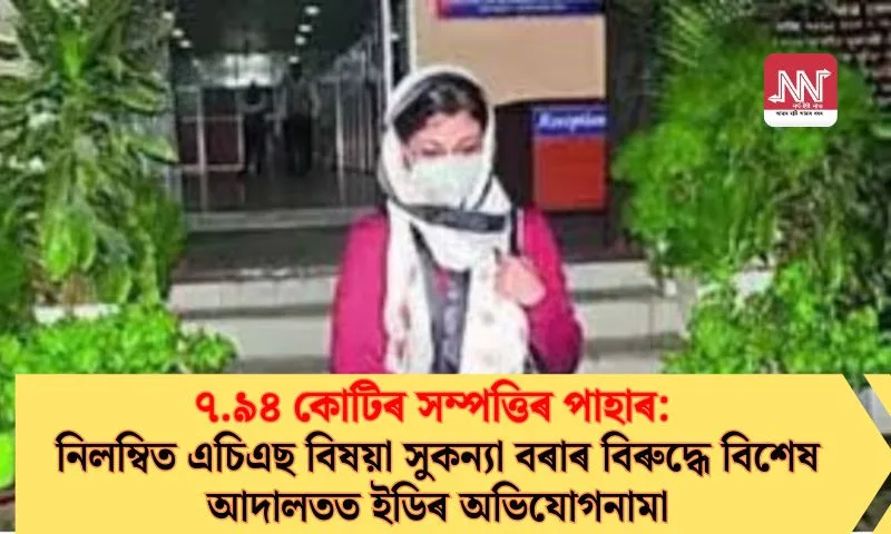 ED Files Explosive Chargesheet Against Suspended Official Sukanya Bora