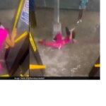 Harrowing Video: Woman Swept Away by Raging Floodwaters in NYC