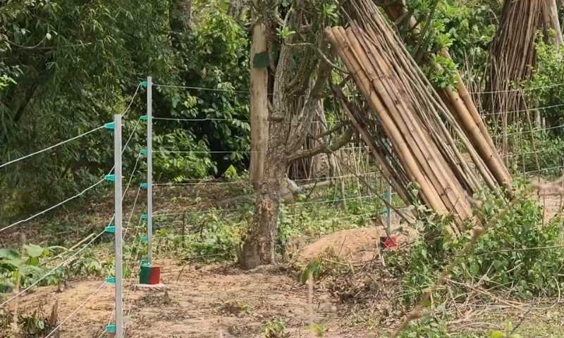Tripura Deploys Trenches & Solar Fencing to Stop Elephant Attacks