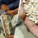 Captagon Seized in India: Alarming Jihadi Drug Threat