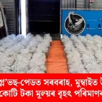 মুম্বাইত গ্ল'ভছ-পেডত ১,৭৪৫ কোটি টকাৰ ড্ৰাগছ উদ্ধাৰ — চাঞ্চল্যকৰ সন্ধান