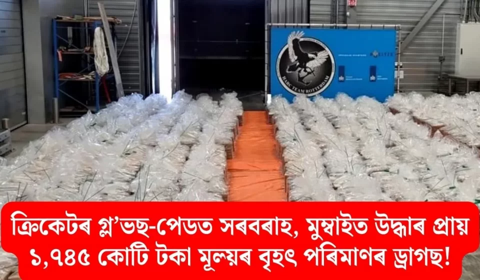 মুম্বাইত গ্ল'ভছ-পেডত ১,৭৪৫ কোটি টকাৰ ড্ৰাগছ উদ্ধাৰ — চাঞ্চল্যকৰ সন্ধান