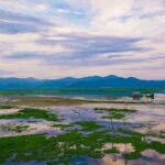 Deepor Beel at Risk: Urgent Call to Balance Development and Ecology