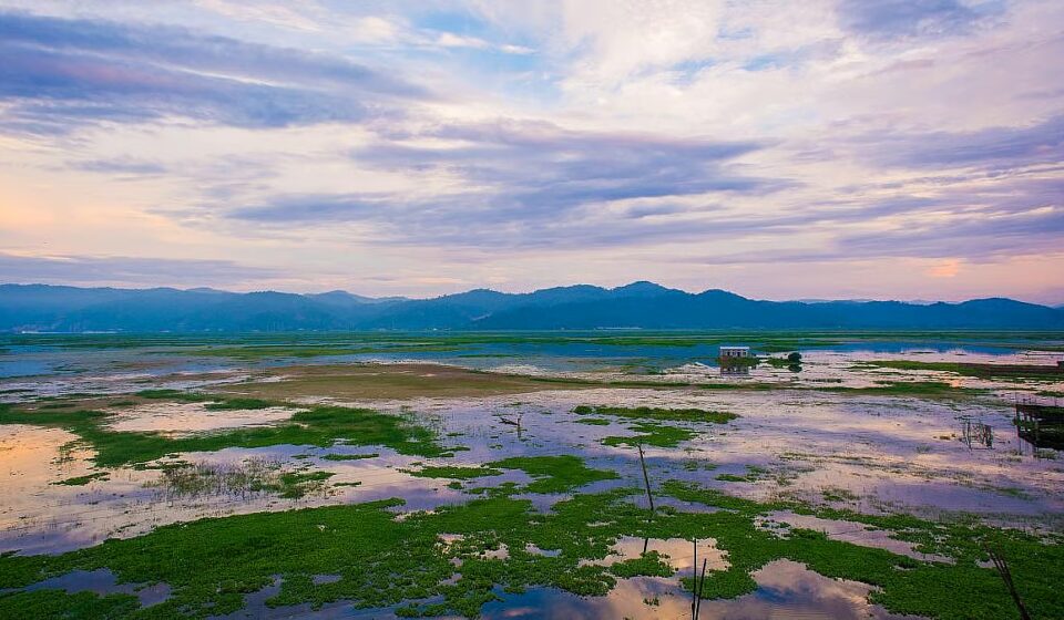Deepor Beel at Risk: Urgent Call to Balance Development and Ecology