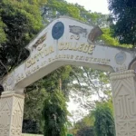 Cotton University's NEP 4-Year Degree Sparks Master's Controversy