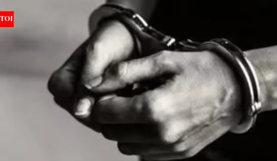 Guwahati Outrage: Assam Woman Arrested, Son Detained Over Beef Tiffin