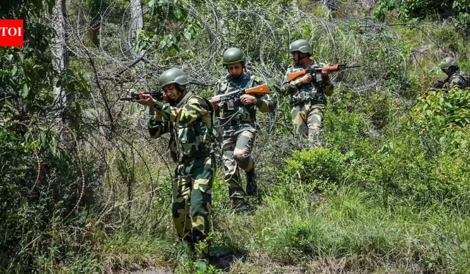 BSF Convicted: 42-Year Sentence for Mizoram Gang-Rape, Acid Attack