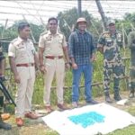 Alert: BSF, Police Seize Yaba Tablets Worth ₹50 Lakh Near Dharmanagar