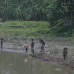 Assam's Kharkhari River Fish Kill: Industrial Pollution Alleged