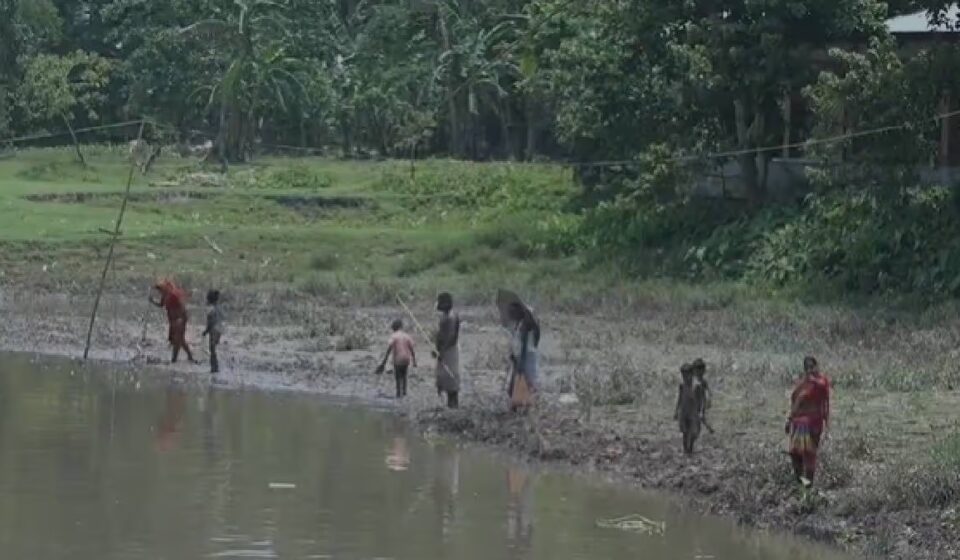 Assam's Kharkhari River Fish Kill: Industrial Pollution Alleged