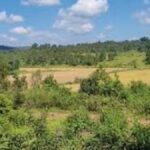 Assam-Meghalaya Deal: Farming Continues in Lapangap; Border Deferred