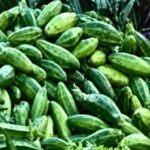 Meghalaya Food Safety Seizes Pointed Gourd Over Suspected Dye