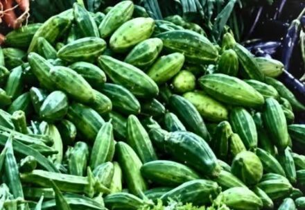 Meghalaya Food Safety Seizes Pointed Gourd Over Suspected Dye