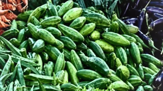 Meghalaya Food Safety Seizes Pointed Gourd Over Suspected Dye