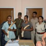 Assam Crackdown: Elephant Ivory Seized in Bamunigaon, 2 Arrested