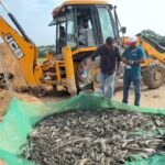 Major Assam Fisheries Raid Seizes 7 Quintals of Banned Thai Catfish
