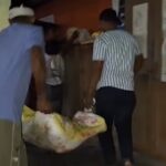 Assam: Seven Arrested in Dhubri Cattle Raid, 90kg Alleged Beef Seized